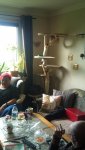 DSC_0917.jpg