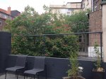 Foto 1 (3).jpg