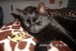 SAM_0183.jpg