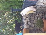 20140328_091055.jpg