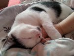 20140429_140432.jpg