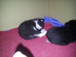 20140505_183047.jpg