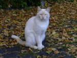 k-samBILD2409.jpg
