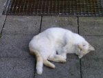 k-samBILD2432.jpg