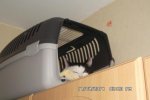 SAM_0139.jpg