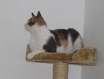 DSCF4009.jpg