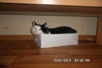 SAM_0049.jpg
