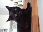 20140320_171827.jpg