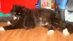 DSC08178.jpg