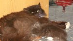 DSC08240.jpg
