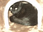 DSC01755.jpg