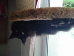 20140623_195415.jpg