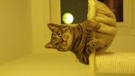 20131229_214543.jpg