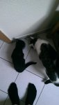 IMAG0097_BURST004.jpg