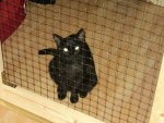 DSC01760.jpg