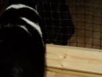 DSC01765.JPG