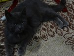 DSC03966.JPG