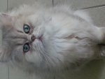 20140512_095528.jpg