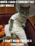 Funny-Cat-Pictures-with-Captions-45.jpg