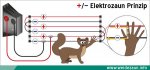 Marderabwehr-Waschbaerabwehr-Katzenabwehr-Elektrozaun-Plus-Minus.jpg