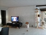 20140815_195920.jpg