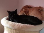 DSC01772.jpg