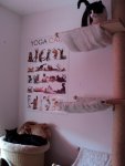 DSC01773.jpg