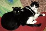 DSC01782.jpg