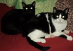DSC01785.jpg