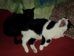 DSC01788.jpg
