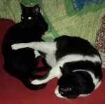DSC01791.jpg