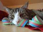 DSC05381.jpg