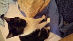20140513_055939.jpg