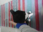 20140924_113838.jpg