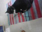 20140924_113854.jpg