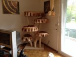 Foto 2 (7).jpg Foto 2 (7).jpg