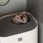 Ikea Toilette.jpg