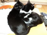 DSC01805.jpg