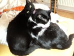 DSC01806.jpg