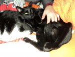 DSC01827.jpg