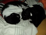 DSC01832.jpg
