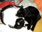 DSC01838.jpg
