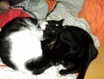 DSC01845.jpg