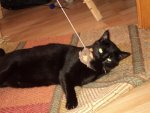 DSC01853.jpg