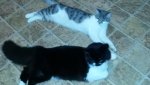 20141021_080944.jpg