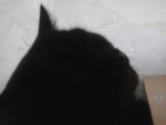 20141023_160511.jpg