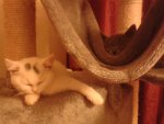 20141024_004728.jpg