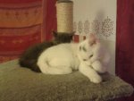 20141023_162752.jpg