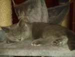 20141024_004946.jpg