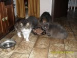Mina ganz rechts Jan 2014 mit den 3 Freunden.jpg